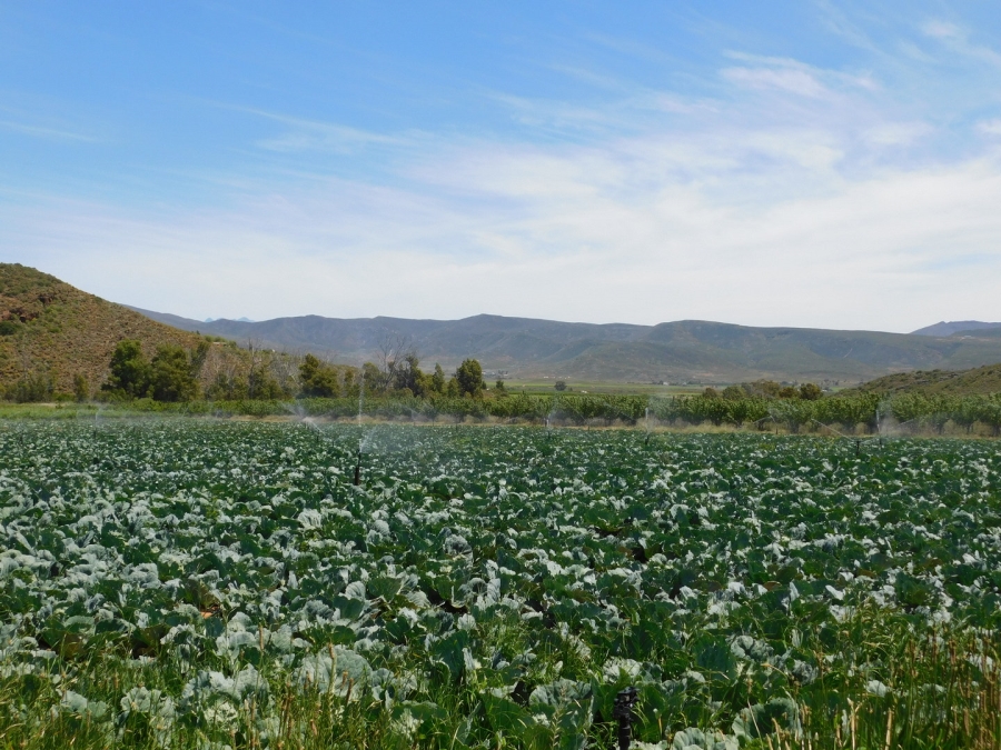 Commercial Property for Sale in Robertson Rural Western Cape